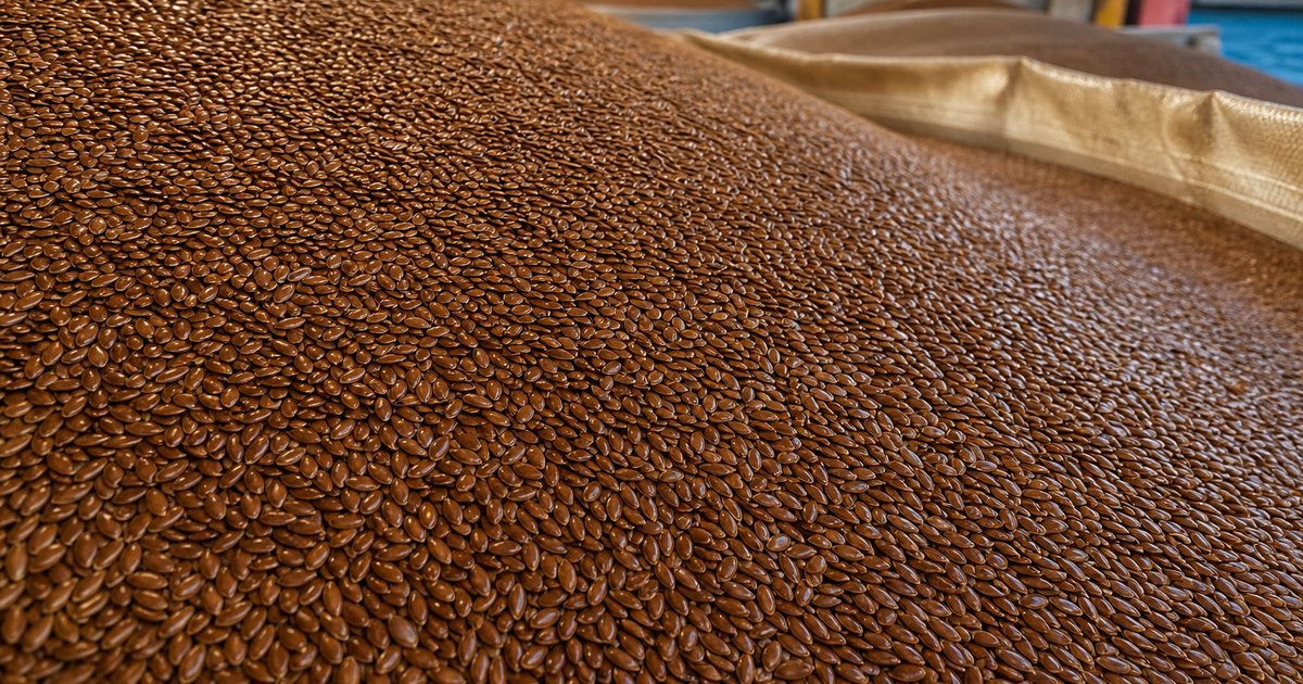 Russian flax seed bulk