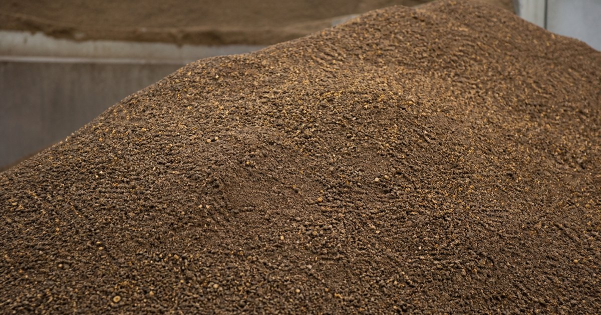 Russian rapeseed meal bulk