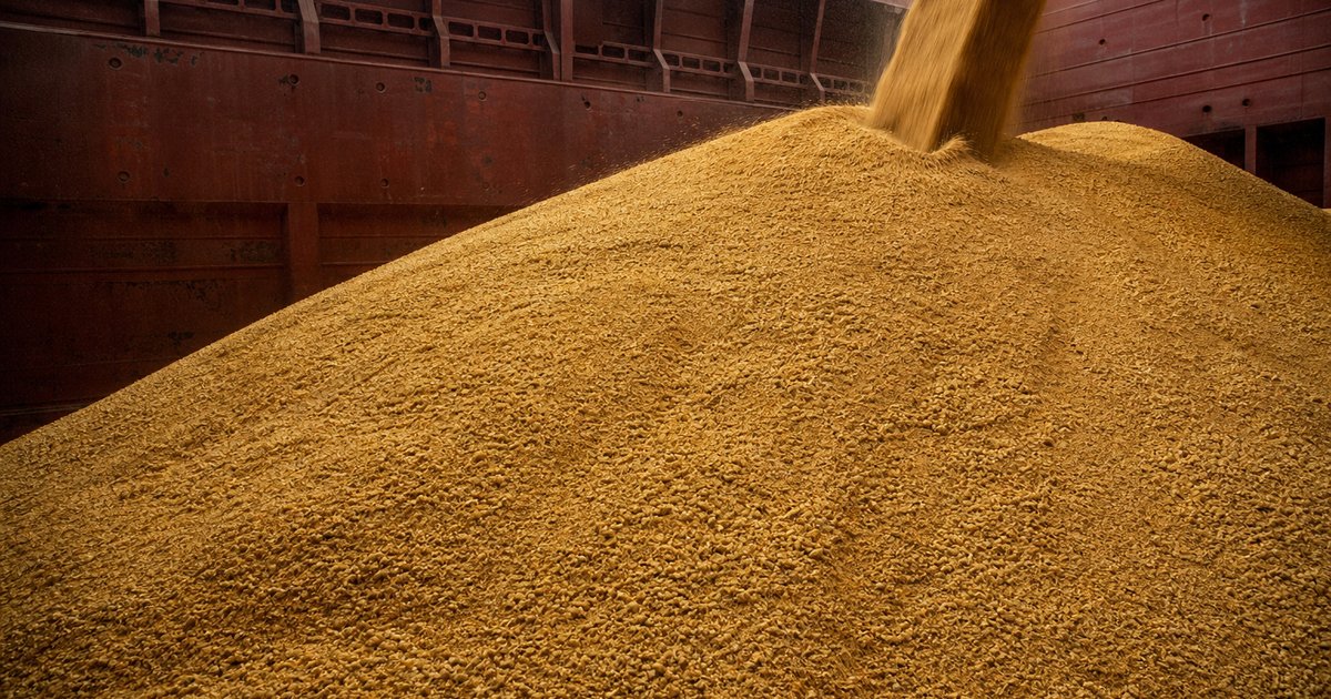 Russian soybean meal bulk
