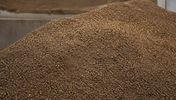 روسی کنجاله کلزا bulk