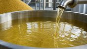 روغن کلزای روسیه bulk